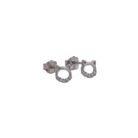 A Cat Shine 5 mm